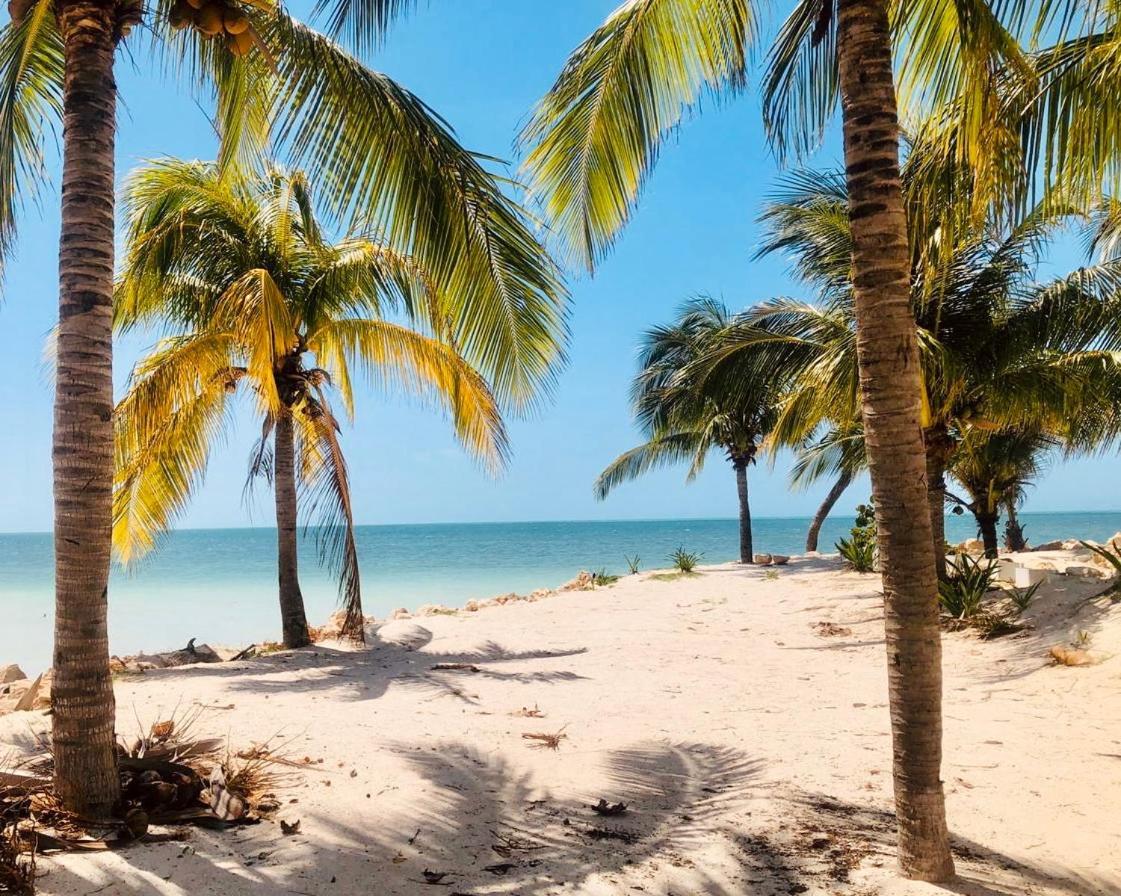 Corazon Mexicano Holbox Ilha Holbox Exterior foto